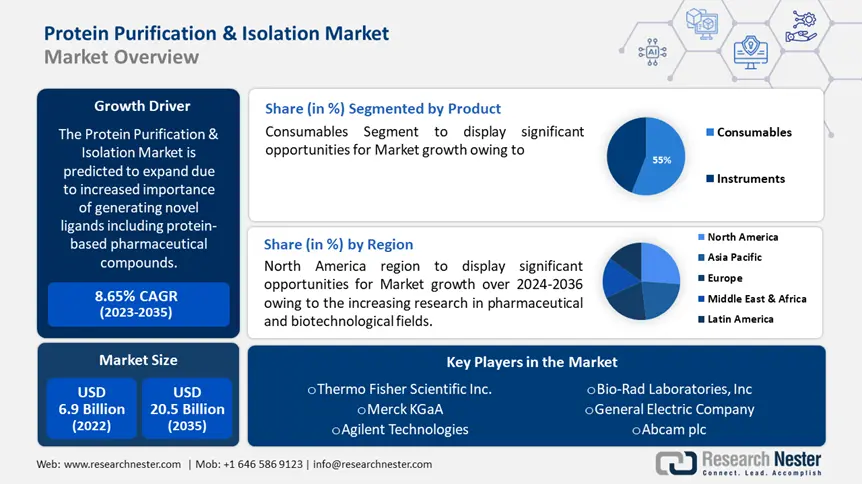 Protein Purification & Isolation Market overview